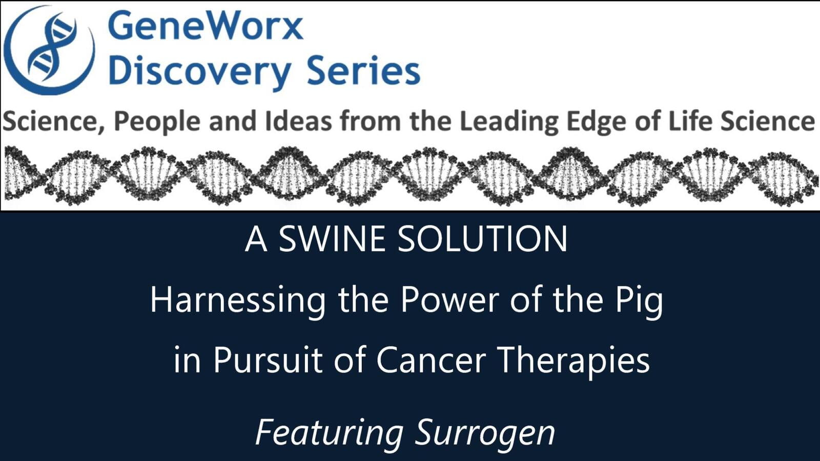 A Swine Solution - Harnessing the Power of the Pig ​in Pursuit of Cancer Therapies